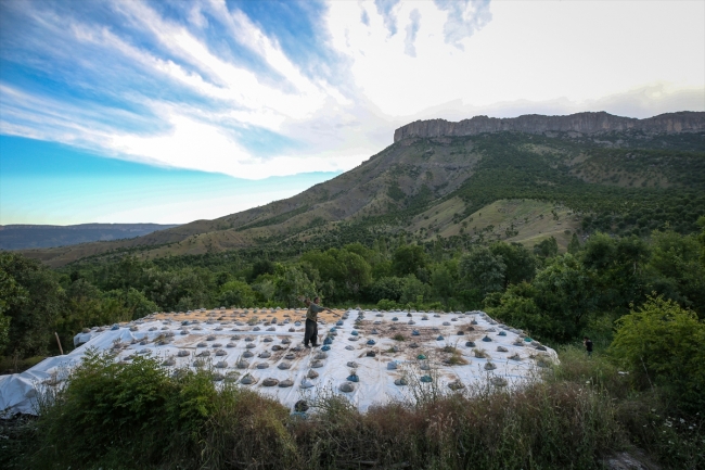 Mehmetçik dağları teröristlerden temizledi, Şemdinli huzura kavuştu
